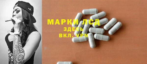 стаф Алзамай