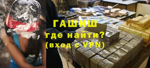 стаф Алзамай