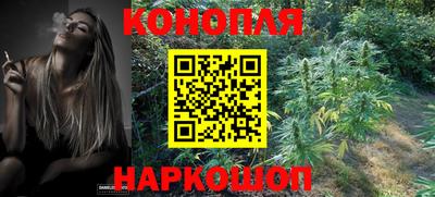 стафф Партизанск