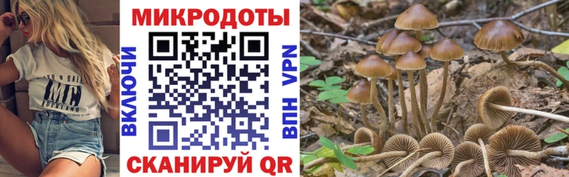 darknet Telegram  Балашов  Псилоцибиновые грибы мухоморы  хочу  