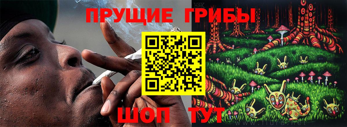 где продают   Галлюциногенные грибы мицелий  Вход с VPN  Балашов  Галлюциногенные грибы Psilocybe 