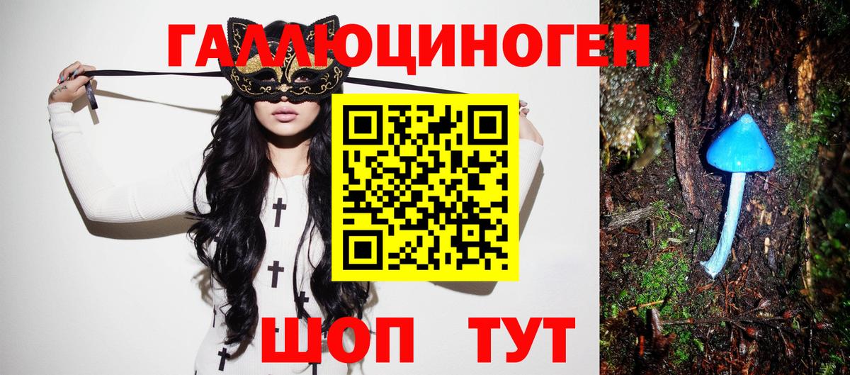 Галлюциногенные грибы Psilocybine cubensis Балашов